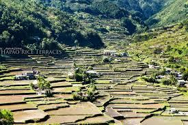 Hapao Rice Terraces