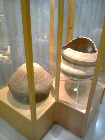 Anthropological Museum Director Pestana