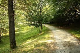 Area Naturalistica Pianezze