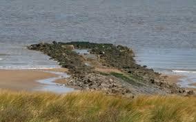 Zwinduinen et des polders