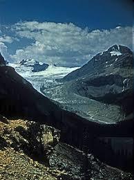 Peyto Glacier