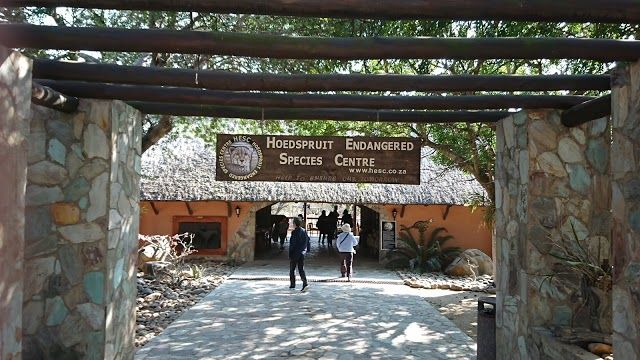 Hoedspruit Endangered Species Centre
