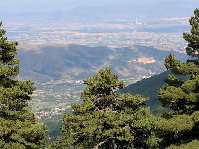 Pelister National Park