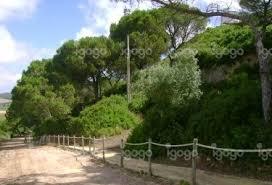 Parque Cinegetico de Obidos