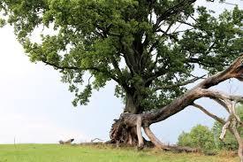 Walderlebnispfad Farchant