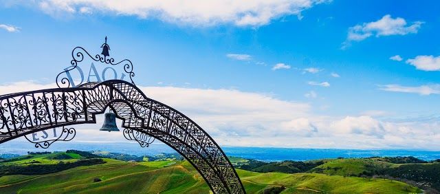 DAOU Vineyards & Winery