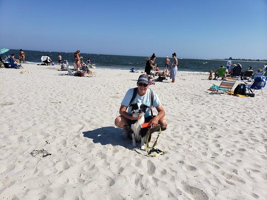 Longport Dog Beach