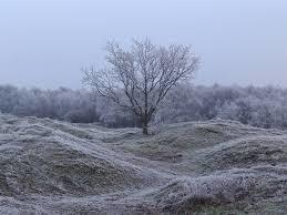Natuurgebied Oranjezon