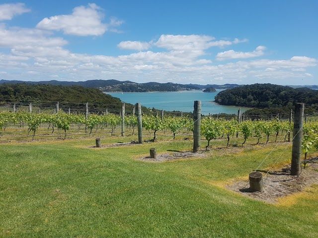 Omata Estate Vineyard & Kitchen