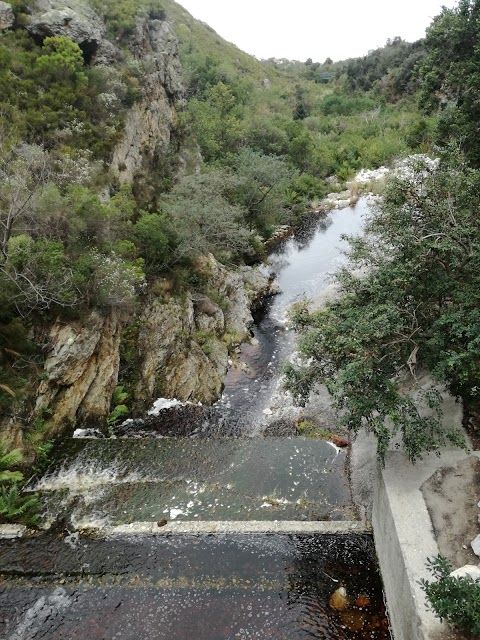 Harold Porter National Botanical Garden