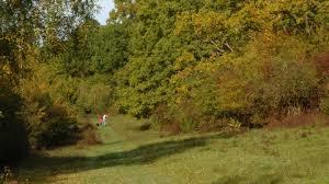 Warburg Nature Reserve