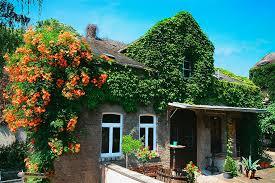 Weingut Dr. Heinrich Nägler