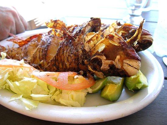 Tam Tam Restaurant Puerto Plata