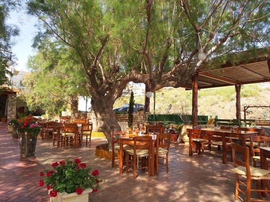 Damnoni Taverna