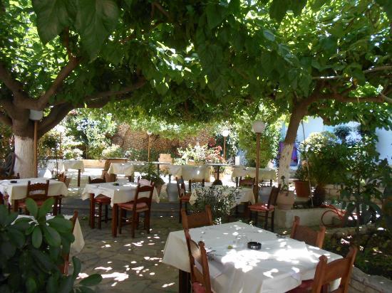 Taverna Garden