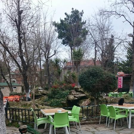 Ronepark Cay Bahcesi