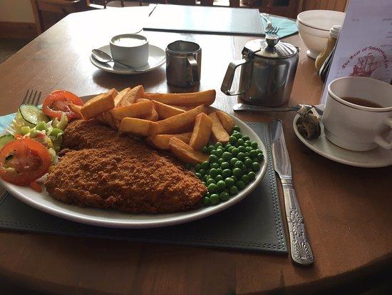 The Bear of Amsterdam