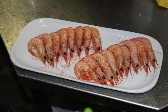 El Colmao de Gascon Rubio