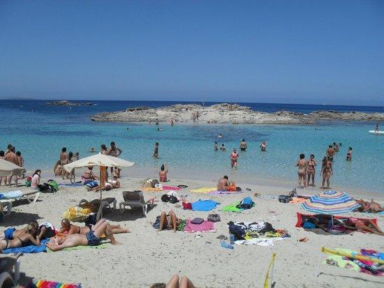 Restaurante Rigatoni