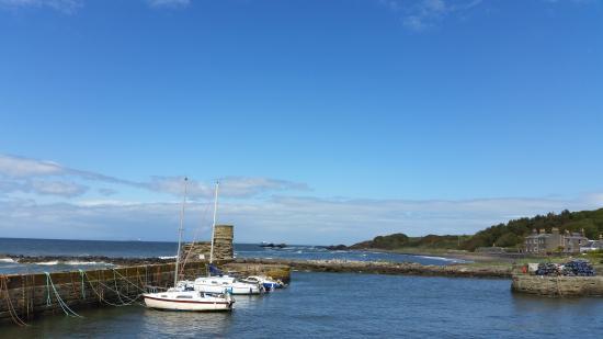 Harbour View Coffee Shop
