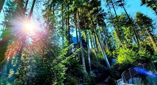 La Cascade Restaurant