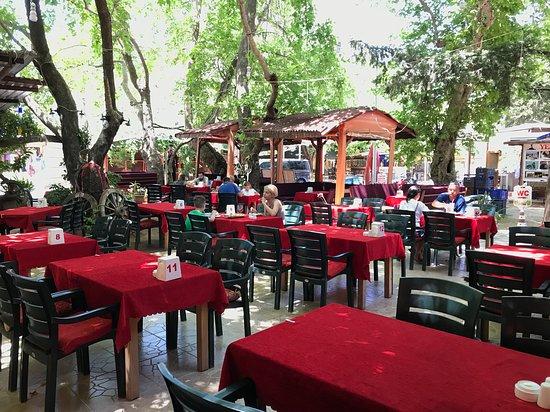 Yoruk Restaurant and Cafe