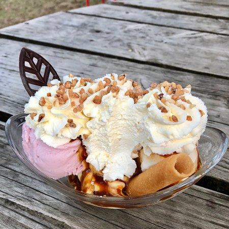 Les Goûts et les Couleurs de Rocamadour