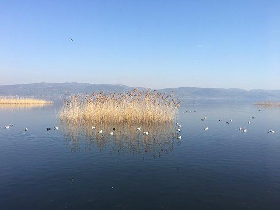 Gol Evi Restaurant Cafe & Bar