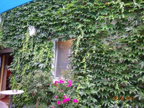 Gaststätte Grünling