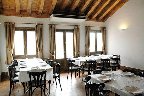 Figon Zute El Mayor Tinin