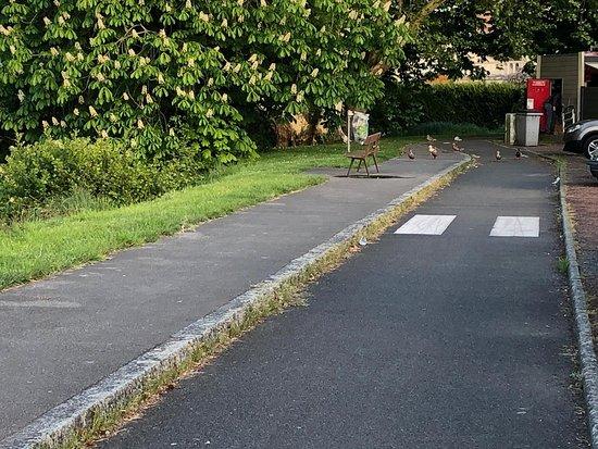 Friterie Des Etangs Peronne