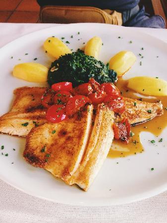 Grill- Speiserestaurant Obsee