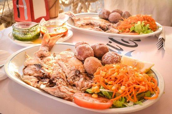 Girasol Casa Margucha