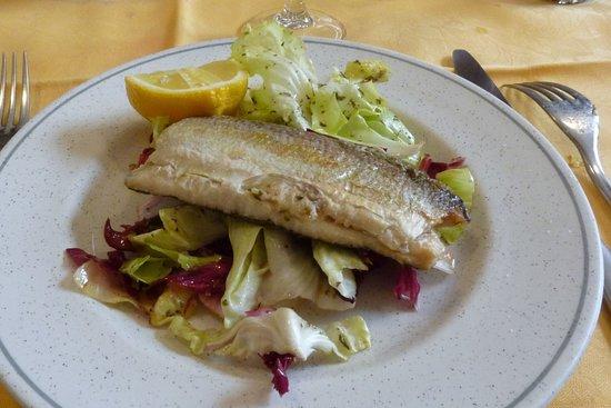 Ristorante Bar M.D. di Bettega Andrea