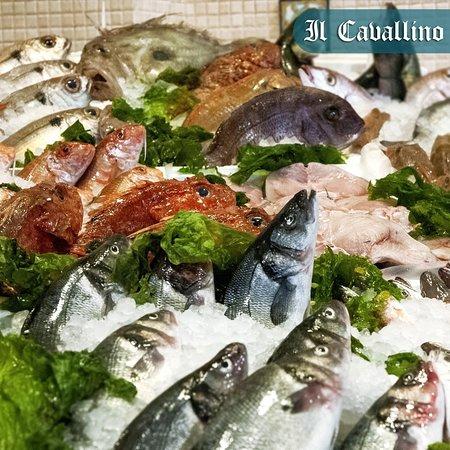 Ristorante Il Cavallino