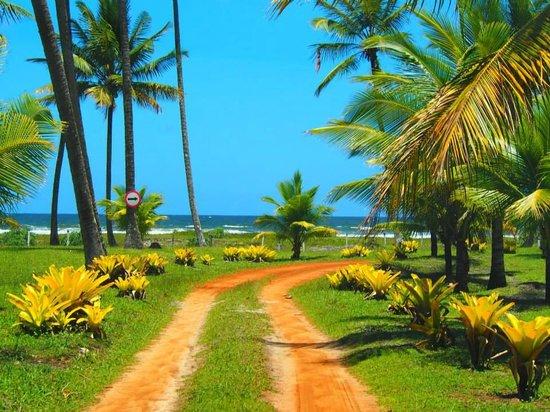 Restaurante Paraíso