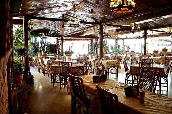 Terry's Greek & International Cuisine