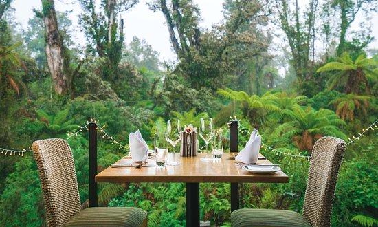 The Canopy Restaurant