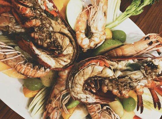 Il Pellicano Pescatore