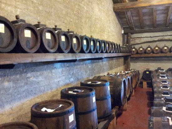 Agriturismo Acetaia Paltrinieri