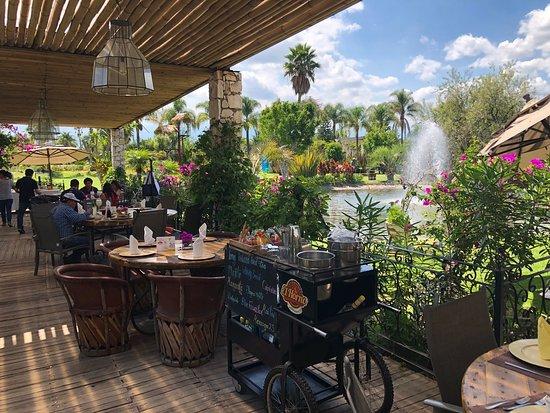 Palmira Jardin Bar & Grill