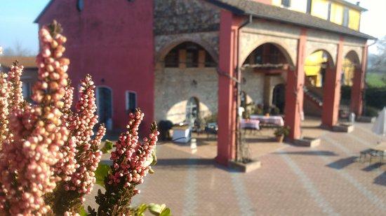 La Fattoria del Boschetto