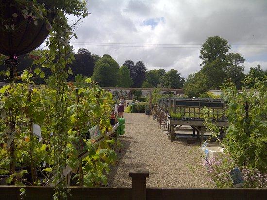 The Old Potting Shed