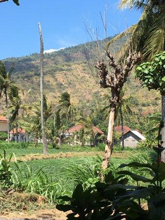 Restaurant Go 1 Resto