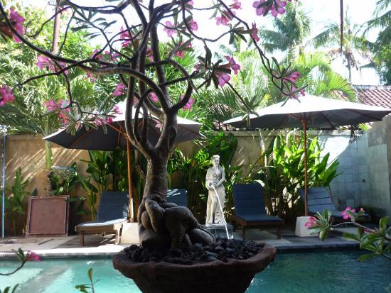 Adi Bungalows Restaurant