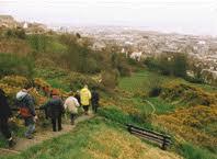 Rosehill Quarry Community Park