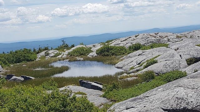 Monadnock State Park