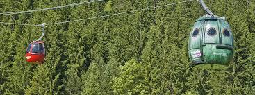 Steinplatte Waidring