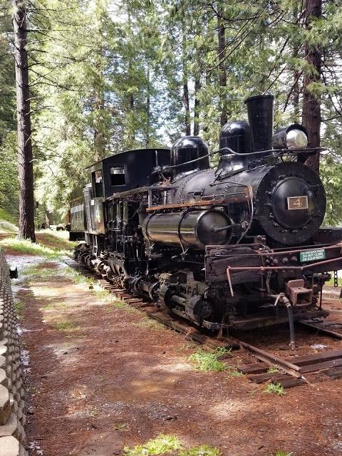 Sierra Nevada Logging Museum