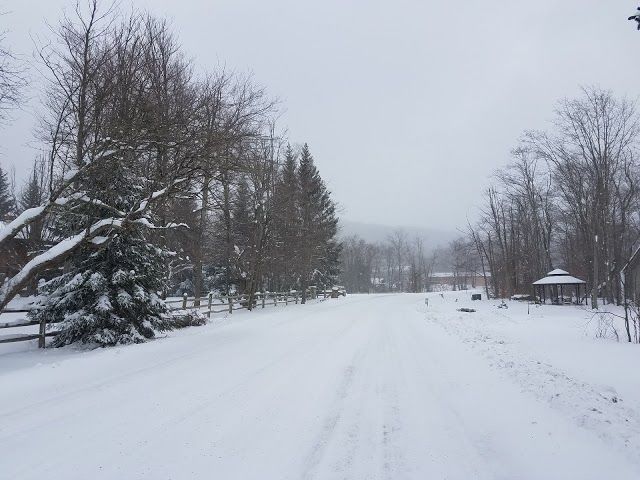 Timberline Four Seasons Resort